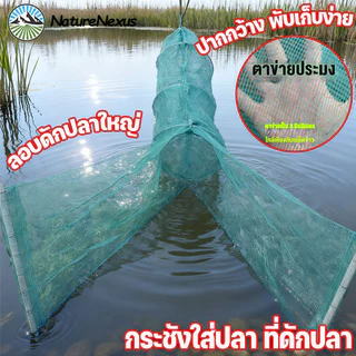 ดักปลา ลอบดักปลาใหญ่ ที่ดักกุ้งฝอย ปลาเข้าง่าย โต่ง พับเก็บง่าย เหมาะสำหรับส่วนแม่น้ำที่เชี่ยว