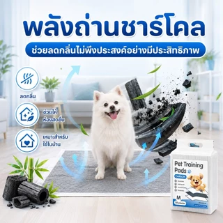PETWELL แผ่นรองฉี่สุนัข แผ่นคาร์บอน ซึมซับไดีดี ต่อต้านแบคทีเรีย ช่วยฝึกขับถ่าย ระงับกลิ่น เหมาะสำหรับสุนัขทุกสายพันธุ์