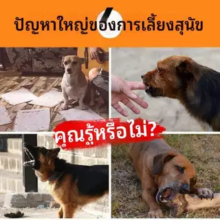 【Pet Zap】 พร้อมส่ง ที่ครอบปากสุนัข กันกัดกันกินมั่ว ปรับสายได้ บุหนานุ่มสบาย ระบายอากาศ กินน้ำได้ S M L XL CW-113