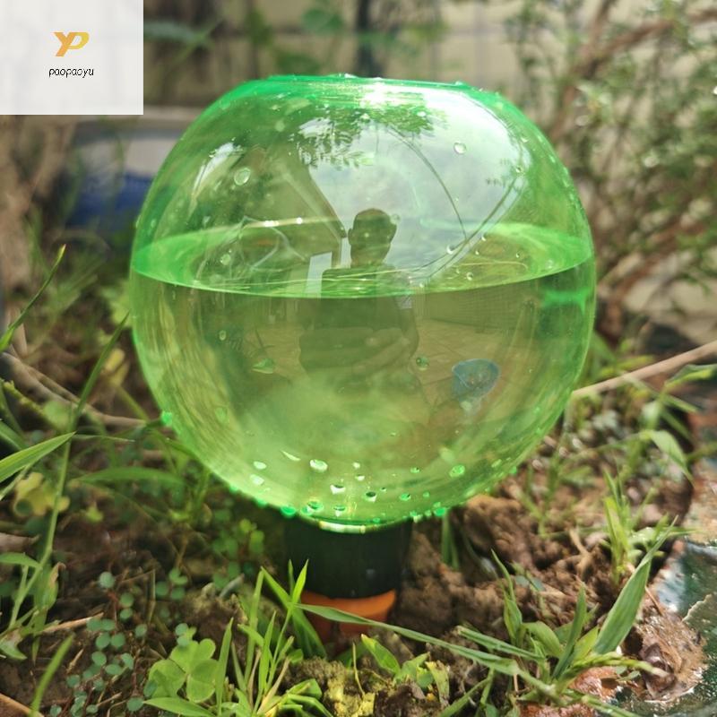 PPY 6 ชิ้นพืชรดน้ํา Globes รดน้ําอัตโนมัติ Globes รดน้ํา Planter ใส่ในร่มกลางแจ้งหยดชลประทาน