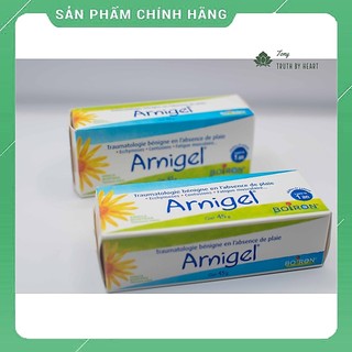 [Hàng chuẩn Pháp có bill] Gel bôi Arnigel hỗ trợ giảm đau nhức, sưng, tan bầm tím