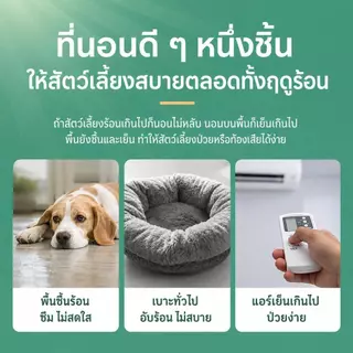 【Pet Zap】พร้อมส่ง ส่งไว แผ่นเจลเย็นสัตว์เลี้ยง ที่นอนเย็นแมว เสื่อระบายความร้อนสุนัข ที่นอนเสื่อหวายหมา CW-091