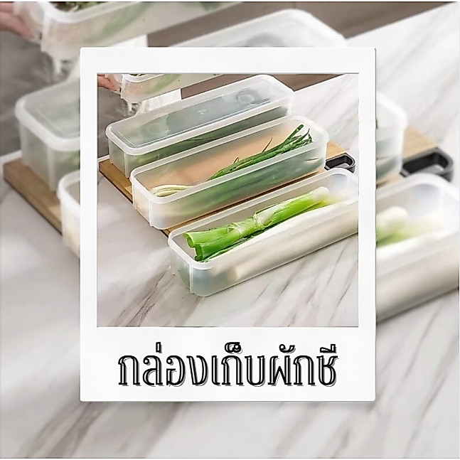 กล่องเก็บผักชี ต้นหอม กล่องพลาสติกเก็บอาหาร ในตู้เย็น เก็บเส้นสปาเก็ตตี้ ผัก ผลไม้ คงความสดใหม่ของอาหาร แบบแบนยาว