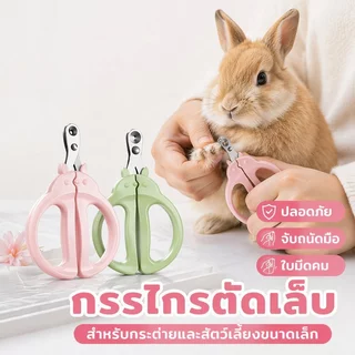 กรรไกรตัดเล็บสัตว์เลี้ยง สำหรับกระต่าย หนูตะเภา แฮมสเตอร์ ใบมีดสแตนเลส ด้ามกันลื่น ตัดปลอดภัย