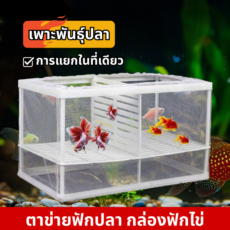 COD ตาข่ายฟักปลา กล่องฟักไข่ เพาะพันธุ์ปลา แบบตาข่าย กล่องแยกปลา กล่องตะข่ายแยกปลาลูกปลาขนาน