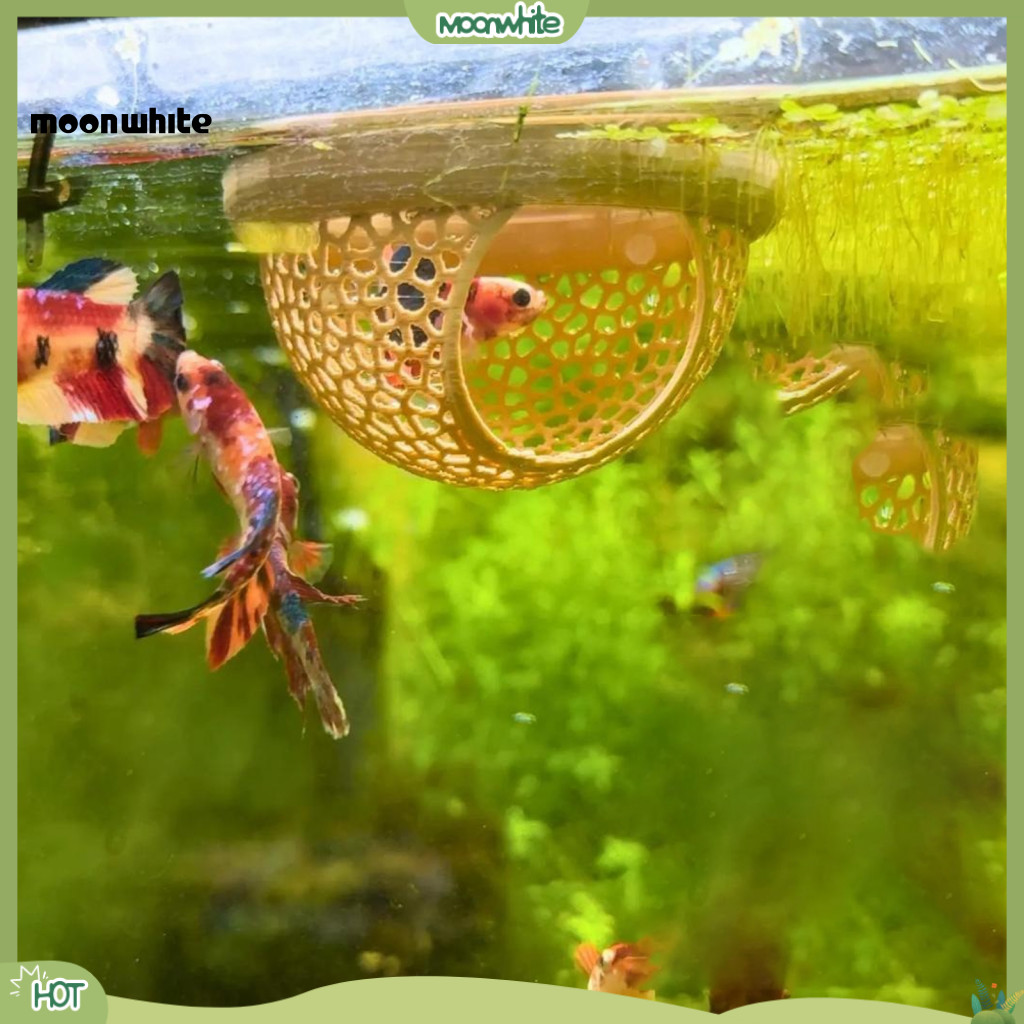 [MOONWHITE] Betta Fish Play Area Betta Fish Habitat ตกแต่ง 3d พิมพ์ลอย Betta Cave Hammock Feeder แหว