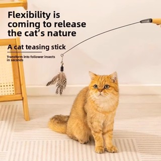 ไม้จับฤดูใบไม้ผลิแมวล้อเล่นติดขนนกระฆังแมวโต้ตอบแมวล้อเล่นติ…