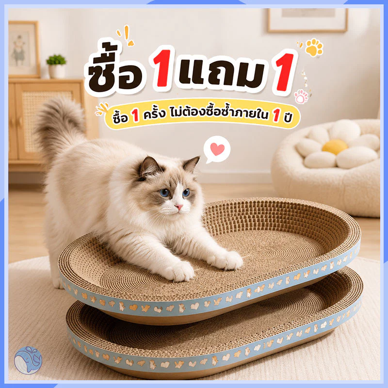 🔥1 แถม 1!! อ่างลับเล็บแมวทรงกลมรูปไข่ 2in1 ทั้งที่นอนและลับเล็บ วัสดุทนทาน เหมาะแมวทุกตัว
