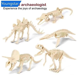 YOUNGSTAR จําลองฟอสซิลไดโนเสาร์พลาสติกโครงกระดูกรุ่นเด็ก DIY Handmade ไดโนเสาร์โครงกระดูกชุด Tyrannosaurus Rex รุ่น H9Q9