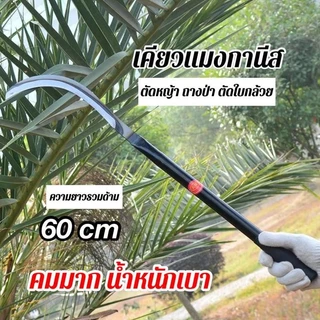 เคียวแมงกานีสชุดจัดโปร (2 เล่ม) เคียวแมงกานีสนี้เหมาะสำหรับตัดไม้ ตัดใบกล้วย ใบมะพร้าว และตัดแต่งกิ่งไม้ในสวน