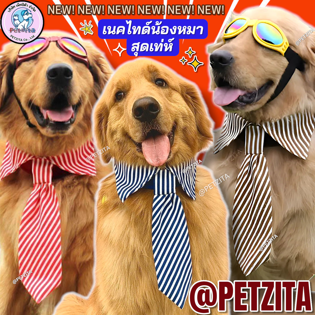 🇹🇭พร้อมส่ง🇹🇭👔👔👔😎 เนคไทด์สุดหล่อสุดเท่ห์ หมาใหญ่ หมากลาง ปลอกคอ ประดับคอ สุนัข สัตว์เลี้ยง