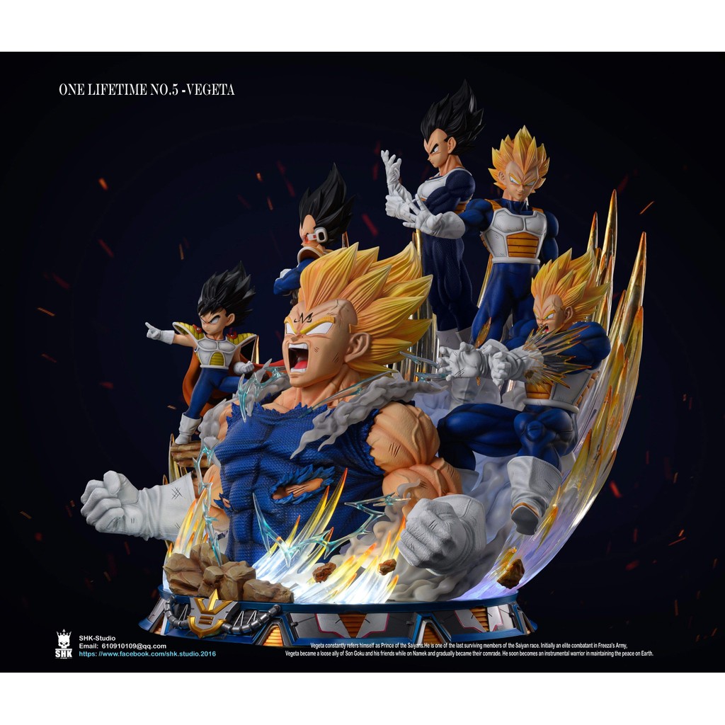 NO.5GKSHKSTUDIO ONE LIFETIME NO.5VEGETA 龙珠 .