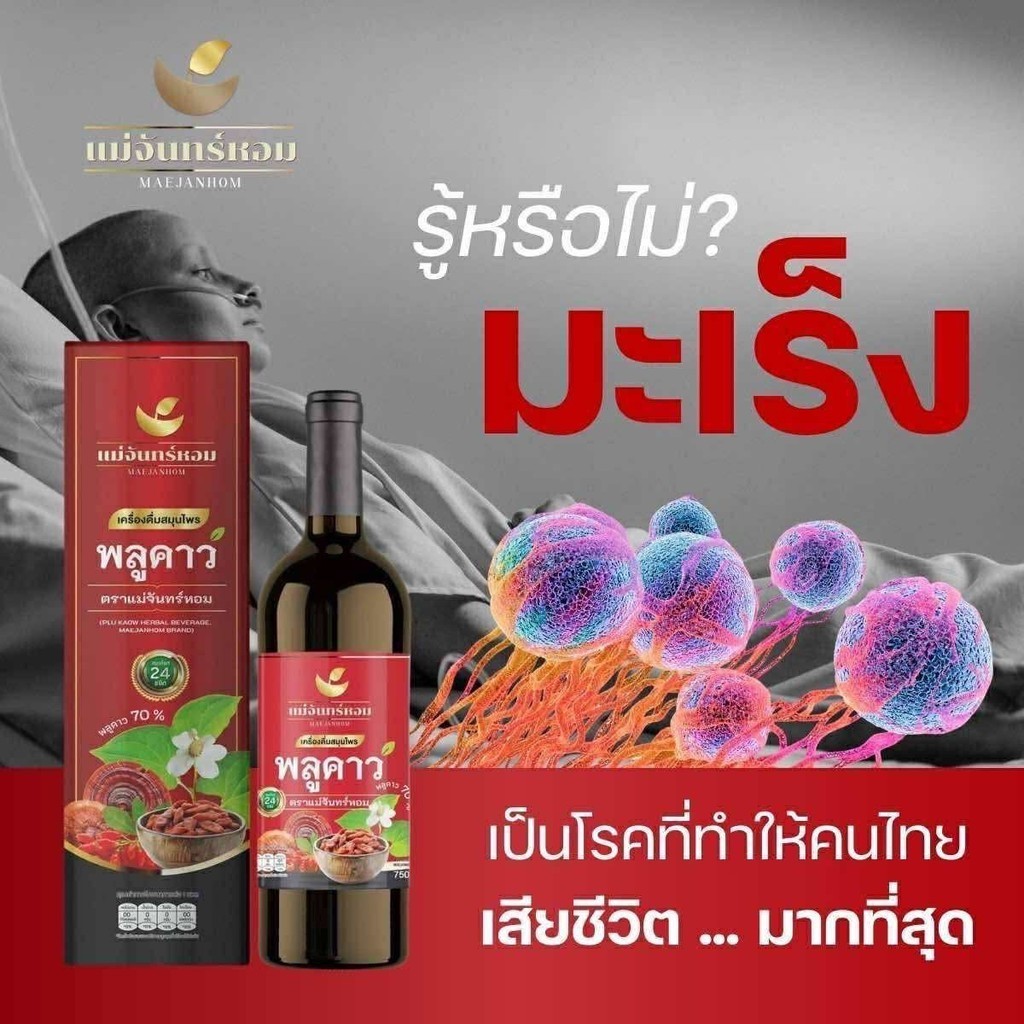 สมุนไพรพลูคาว แม่จันทร์หอม มีสารสกัดพลูคาวสูงถึง 70% ช่วยขับของเสีย เครื่องดื่มสมุนไพรเพื่อสุขภาพ