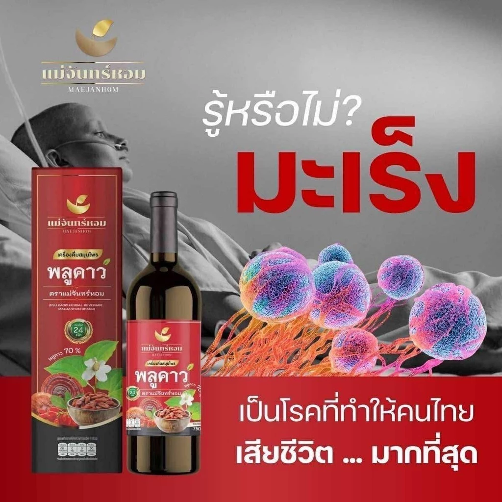 สมุนไพรพลูคาว แม่จันทร์หอม สารสกัดพลูคาว 70% เครื่องดื่มสมุนไพร