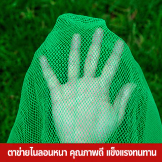 ถุงผ้าแยง ถุงใส่ปลา กระเป๋าอวน จิ้งหรีด ขนาดใหญ่ ถุงใส่กบ มีเชือกรูด ถุงลี่ใส่ปลา ถุงใส่ปลา ใส่ผลไม้ ใส่แมลง ถุงตาข่ายไน