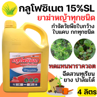 กลูโฟซิเนต แอมโมเนียม 15% แมมมอธแดง ขนาด 4 ลิตร SPKG ดีเด่นอะโกรเทรด