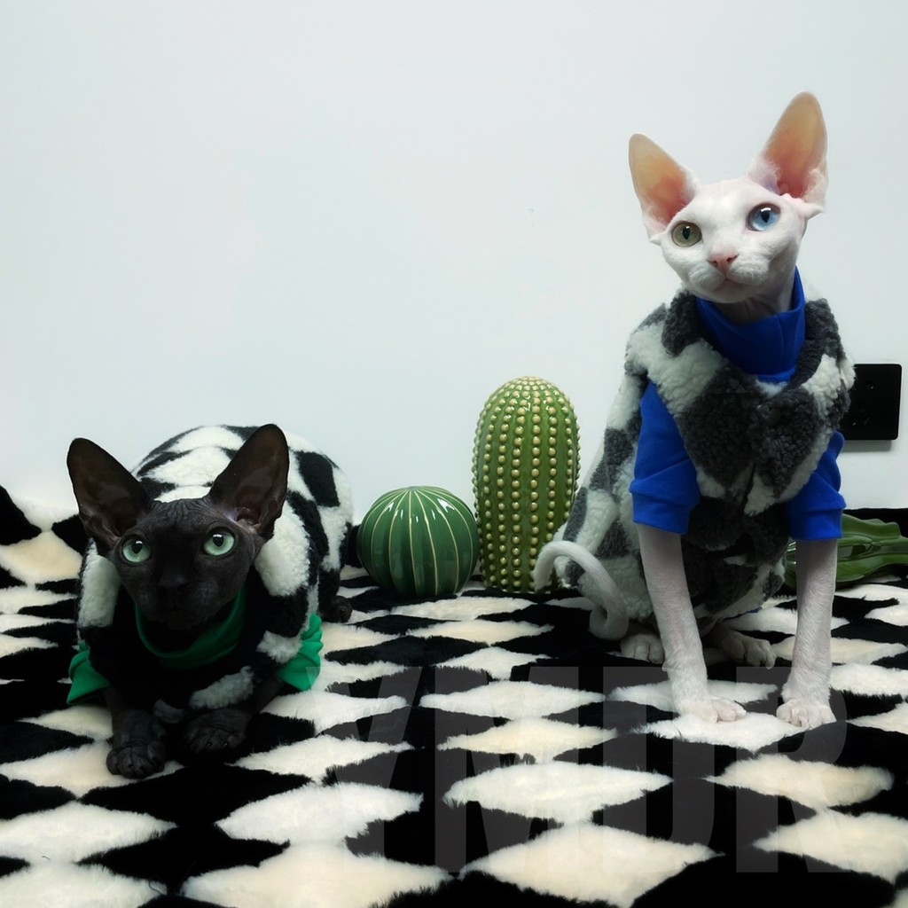 YMDR Sphinx Hairless Cat เยอรมันอินเทรนด์แฟชั่น Checkerboard Vest BV สีเขียว Klein Blue High Neck Su