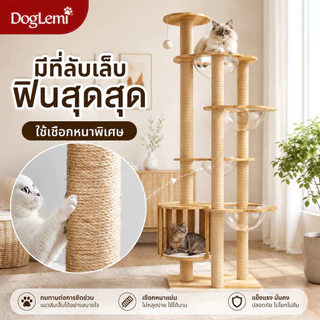 DogLemi】คอนโดแมว สูง185ซม. Cat Condo บ้านแมวไม้พรีเมียม เสาลับเล็บแมว หลุมนอนอะคริลิค 4 จุด คอนโดสัตว์เลี้ยง แมวตัวใหญ่ใ