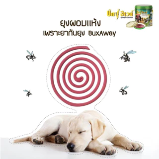 Buxaway บักซ์อเวย์ 60 ขด รุ่น รีฟิว ยาจุดกันยุง สำหรับสัตว์เลี้ยง