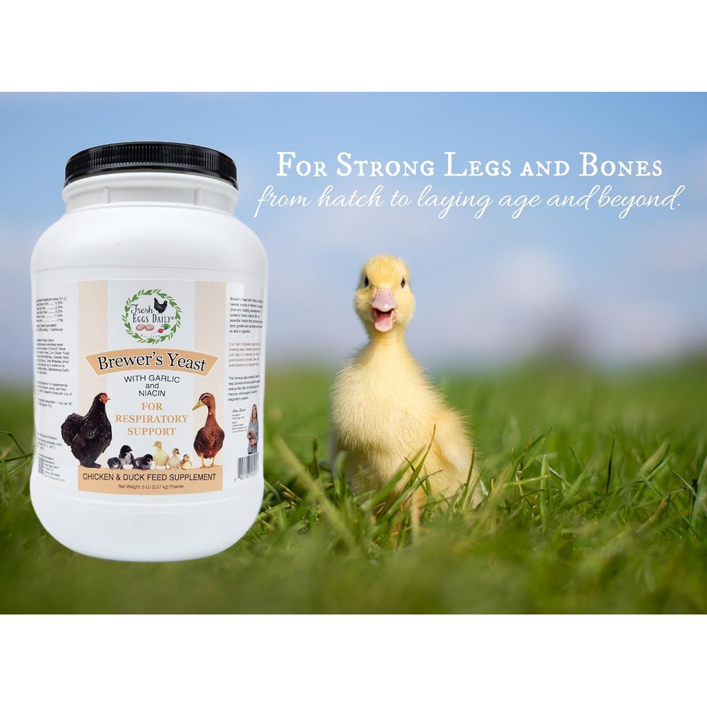 ไข่สด Daily Brewers Yeast with Garlic Powder และ Niacin for Ducklings Feed อาหารเสริมวิตามินสําหรับไ