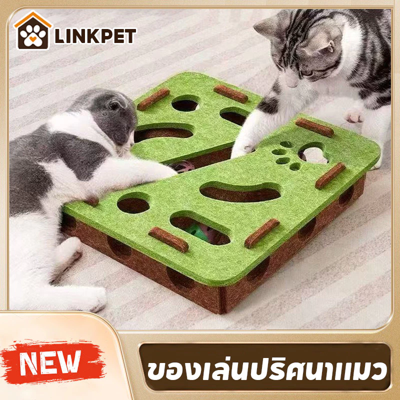 ของเล่นปริศนาแมว ของเล่นแมว สัตว์เลี้ยงปริศนาเขาวงกต กล่องปริศนาแมวรู้สึก