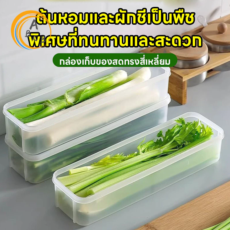 Fresh Boxกล่องเก็บผักผลไม้ กล่องมหัศจรรย์ ยืดอายุผักผลไม้ให้สดใหม่ เก็บได้นานขึ้น จัดตู้เย็นเป็นระเบียบ thumbnail 3