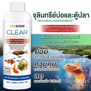 จุลินทรีย์ แบคทีเรีย ปรับสภาพน้ำใส บ่อปลา ตู้ปลา ย่อยของเสีย ลดกลิ่น คัดสายพันธุ์เฉพาะคุณภาพน้ำและสัตว์น้ำ Living Inside