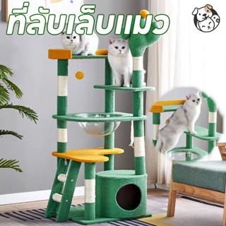 FOR_PET 5in1 ที่ลับเล็บแมว เตียงแมว ของเล่นแมว คอนโดแมวคอนโด…