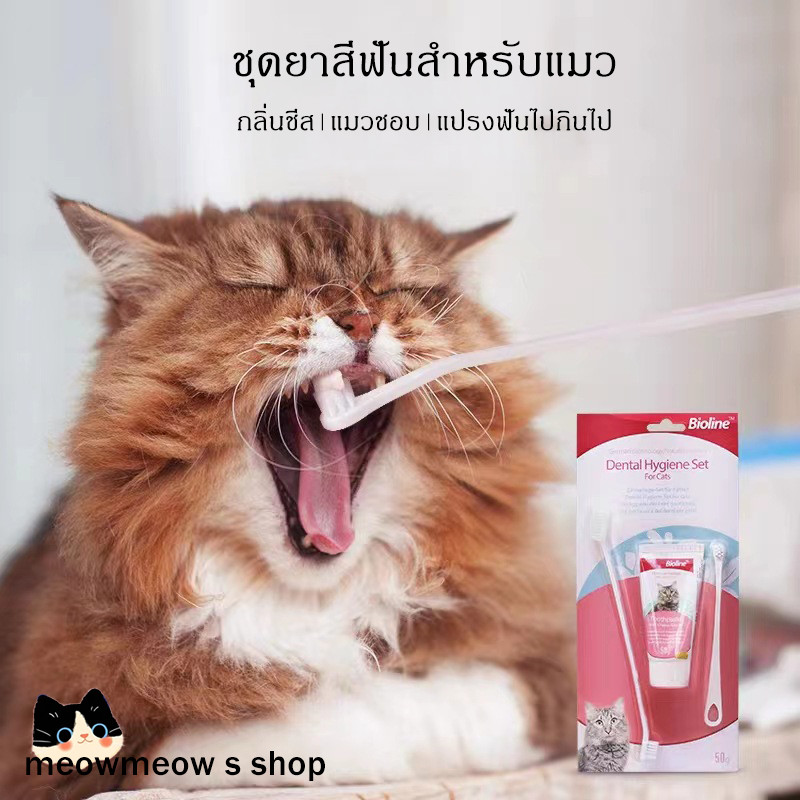 STOCK ชุดแปรงสีฟันและยาสีฟันสำหรับแมว 🐾 ลดกลิ่นปาก ป้องกันหินปูน ดูแลสุขภาพฟันแมว