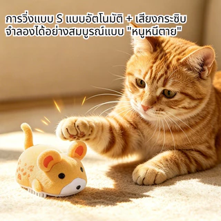 ของเล่นเมาส์แมว ของเล่นแมวไฟฟ้า มีเสียง ไฟฟ้าอัตโนมัติ เล่นได้ไม่ต้องใช้มือ วัสดุปลอดภัย กระตุ้นสัญชาตญาณการล่า