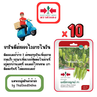 GG x 10 เมล็ดผักซองศรแดง มณีกาญจน์ พริกหยวก สินค้ายกแพ็ค