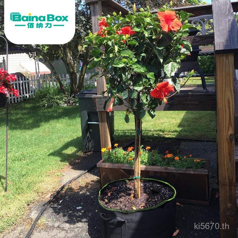 Grow Cross-Mirrorขายส่งต้นกล้าGrowth Bag Beautyปลูกกระเป๋าผ้าไม่ทอต้นไม้ปลูกกระเป๋าดอกไม้หม้อปลูกกระ