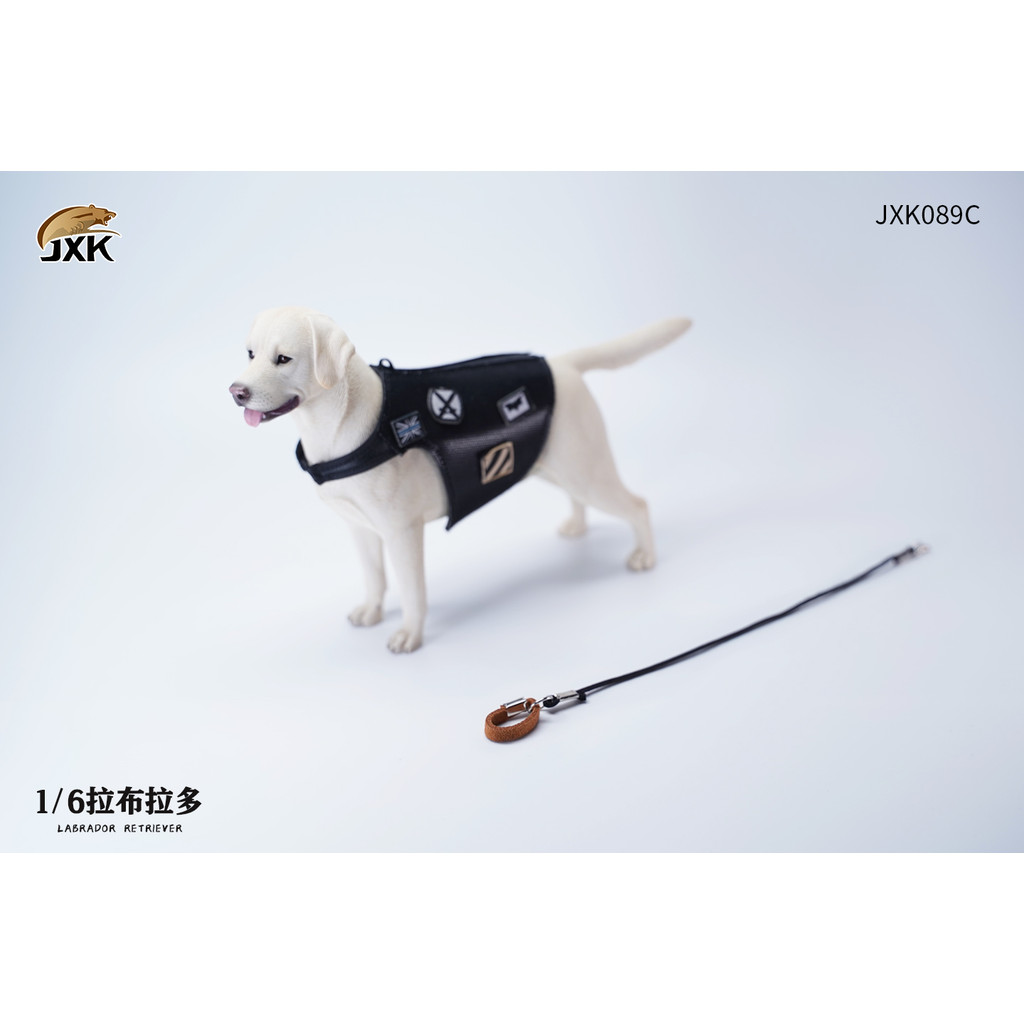 JXK โมเดลสุนัขลาบราดอร์ 1/6 ของเล่นสัตว์เลี้ยง ทำจากเรซิ่น สมจริง ใช้เป็นฟิกเกอร์สะสม ของขวัญ หรือของตกแต่งโต๊ะ