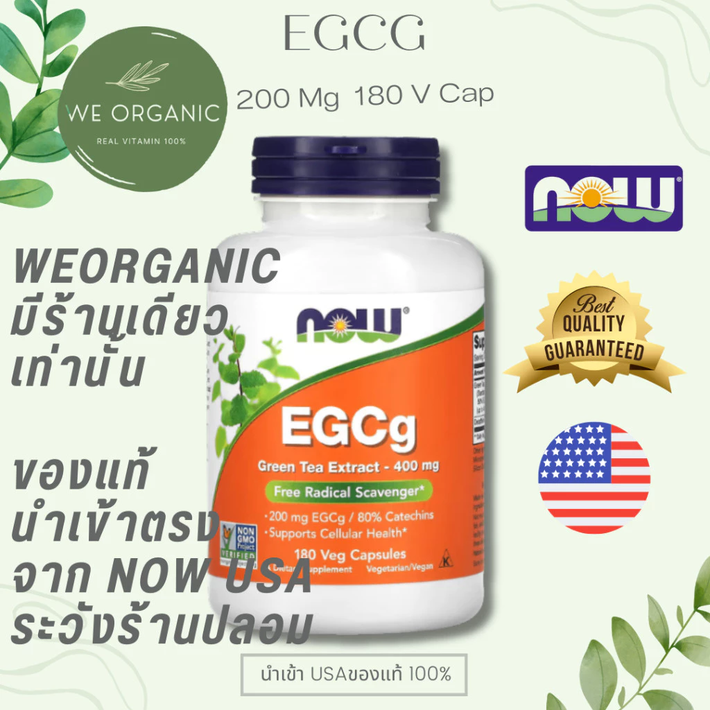 [พร้อมจัดส่ง] EGCg Green Tea Extract สารสกัดชาเขียว 400mg NOW