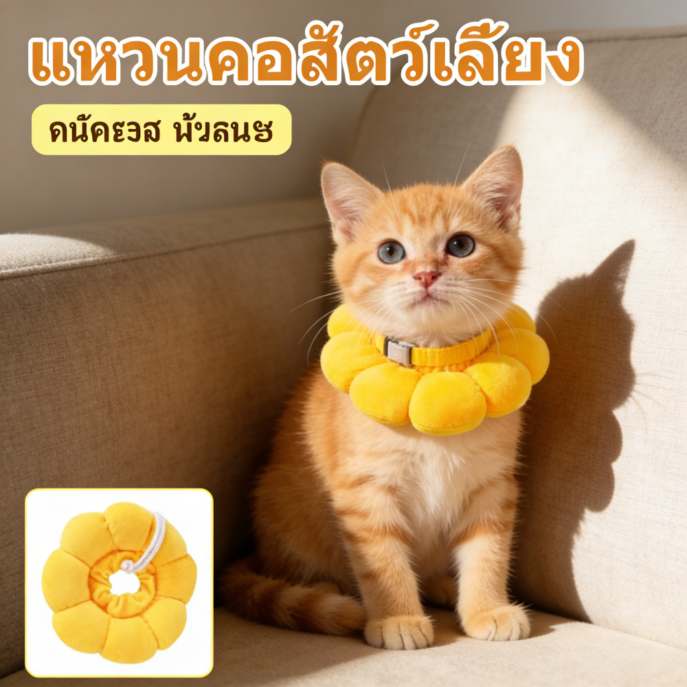 คอสัตว์เลี้ยงปลอกคอแมวปอกคอกันเลียลำโพงกันเลียปลอกคอสุนัขลำโพงคอลล่าปลอกคอคอลล่า