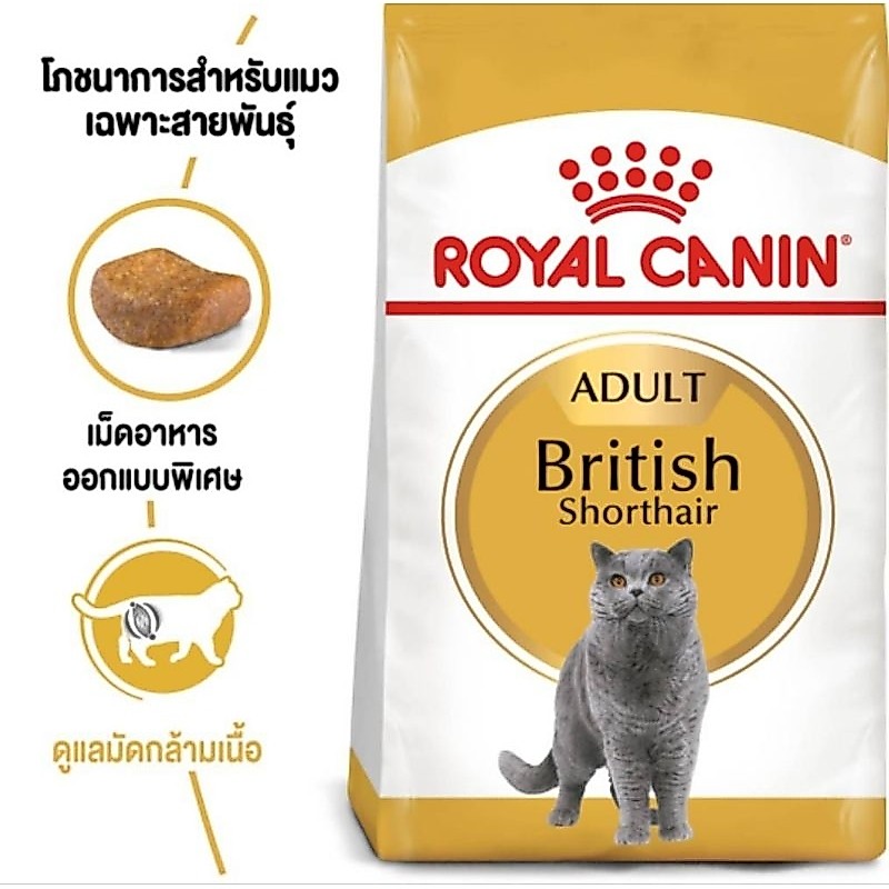 Royal canin บริสติช2kg