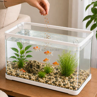 ตู้ปลาใส ตู้เลี้ยงปลา เลี้ยงปลาทอง ปลากัด ตู้เลี้ยงเต่าFISH