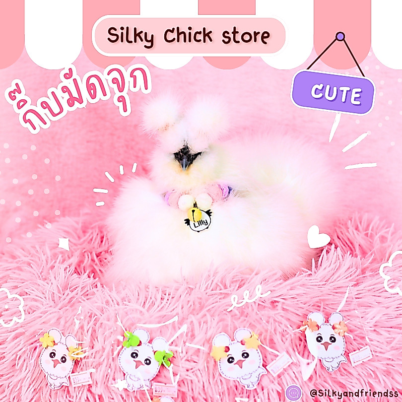 กิ๊บมัดจุกไก่ | กิ๊บติดขนสัตว์