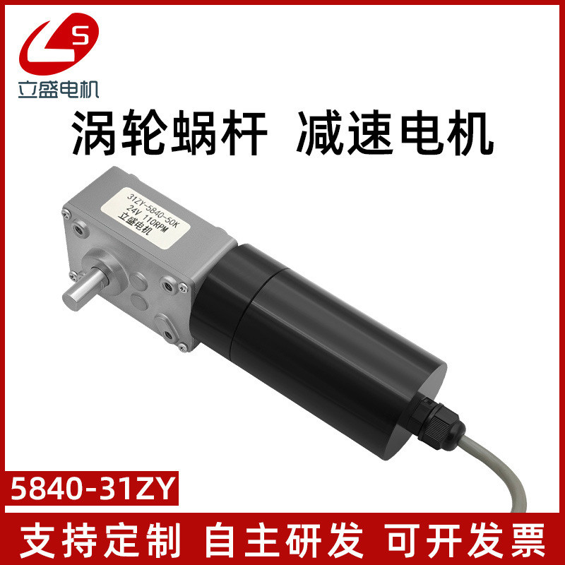 立盛5840-31ZY防水微型直流减速电机钢齿轮 调速慢速马达12V24V