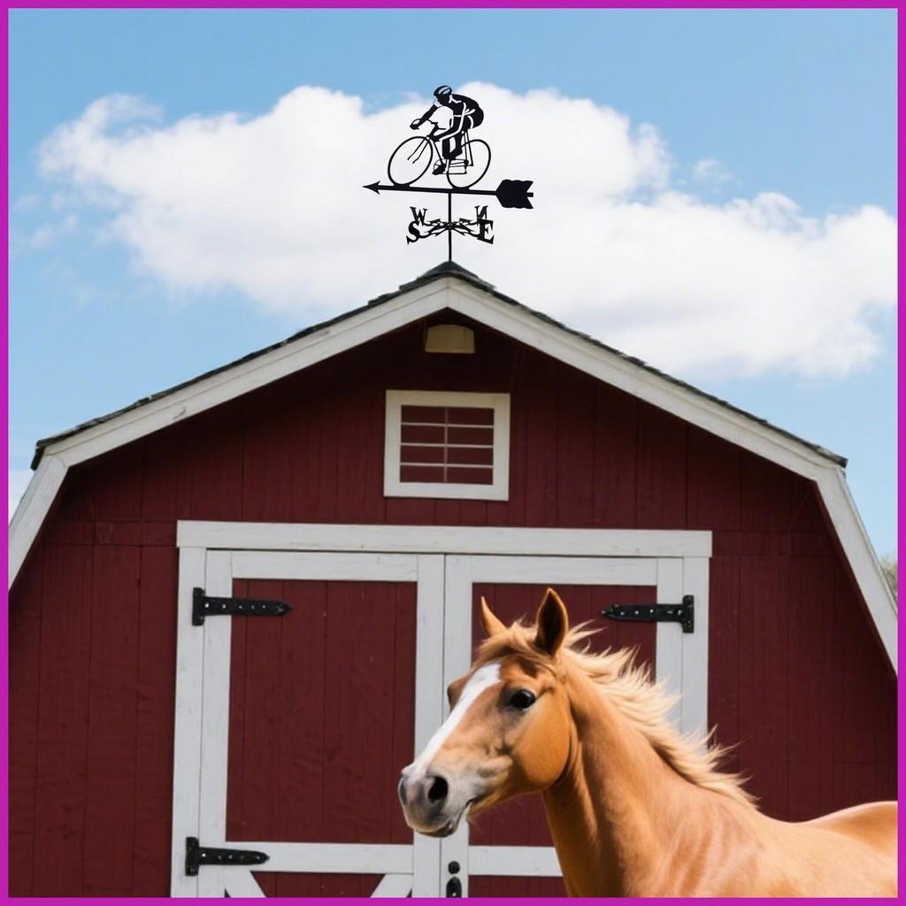 สภาพอากาศ Vane Bike Riders Garden Stake Weathervane ทิศทางตัวบ่งชี้เครื่องมือวัด Stake ตกแต่งสําหรับ