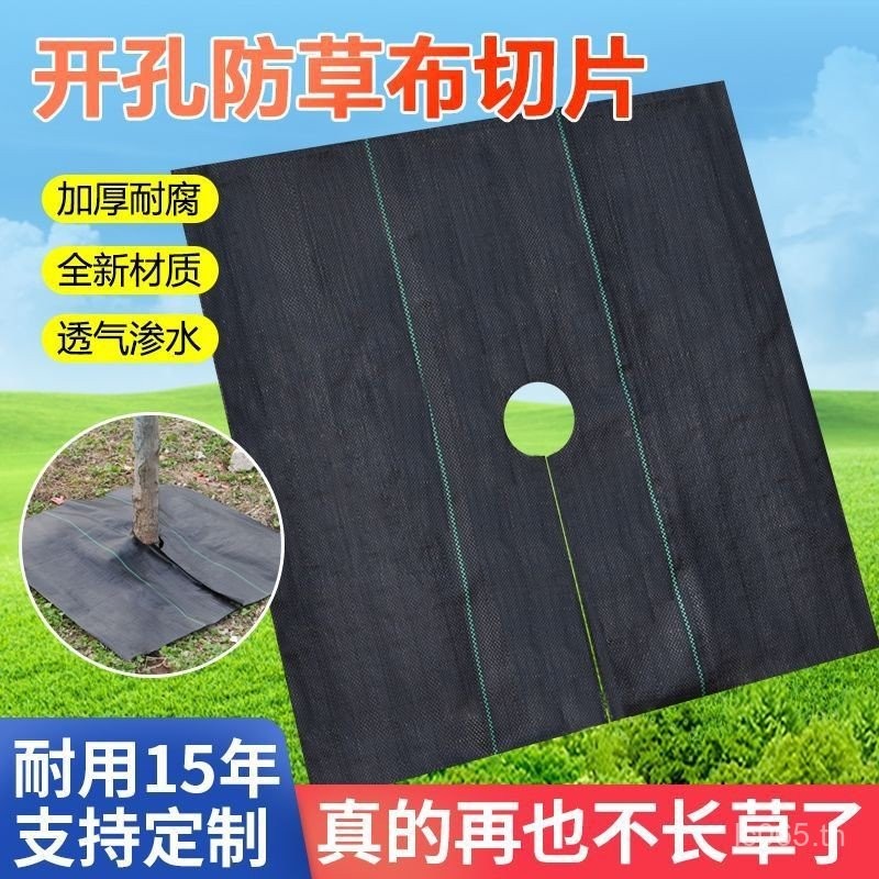 ผ้ากําจัดวัชพืช Perforated Anti-Grass Cover ผ้าหญ้า Anti-Grass ผ้าต้นไม้ผลไม้หญ้าการเกษตรโปร่งใส Orc