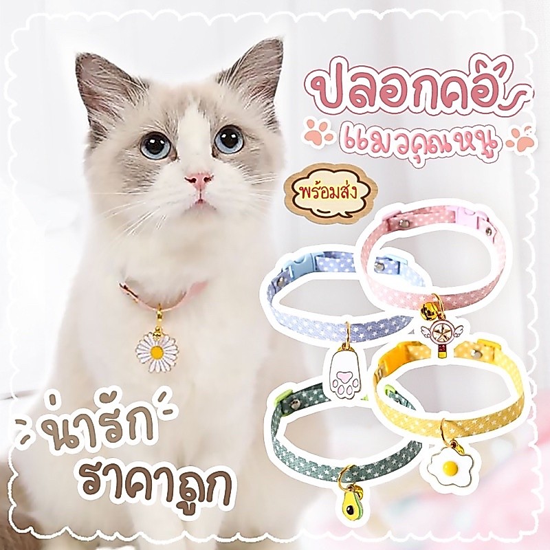 พร้อมส่ง🎀#ปลอกคอแมว#สายคล้องคอแมวน่ารักๆ#ปลอกคอแมวคุณหนู