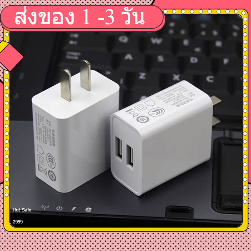 USB charger phone charger 5V 2A (5V2A) (GX-313)