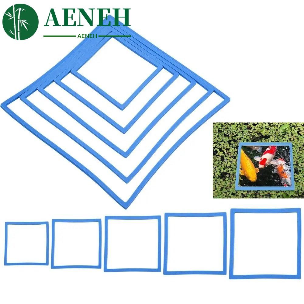 AENEH 5/10 ชิ้น Aquarium Floating Plant Corral, 5 ขนาดรอบ/สแควร์แหวนให้อาหารปลา, Aquarium อุปกรณ์เสริม 80 -200 มม.สีดํา/สีเขียว/สีฟ้า EVA ลอยแหวนพืชถังปลา