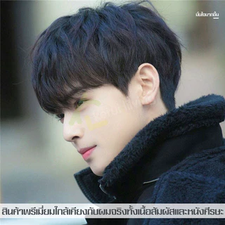 วิกผมชาย วิกผมสั้น Short wig วิกผมคอสเพลย์ ผมปลอม ผมปลอมผู้ชาย วิกผมซอยสั้น วิกผมทรงรองทรง สไตล์เกาหลี วิกผมสั้นแฟชั่น