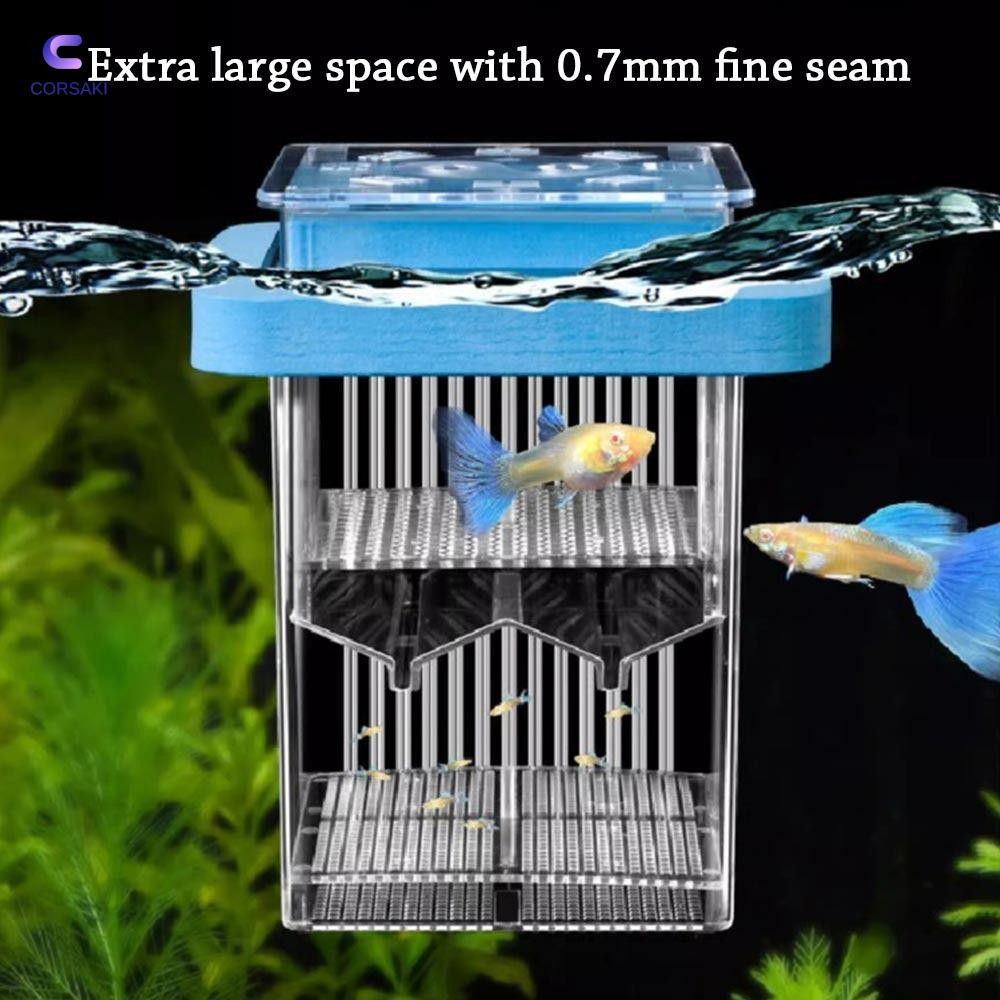 CORSAKI Aquarium Breeder Feeder,ที่ถอดออกได้สแควร์ปลา Breeder Box,ลอยโปร่งใสแยกปลาลอย Breeding Isola