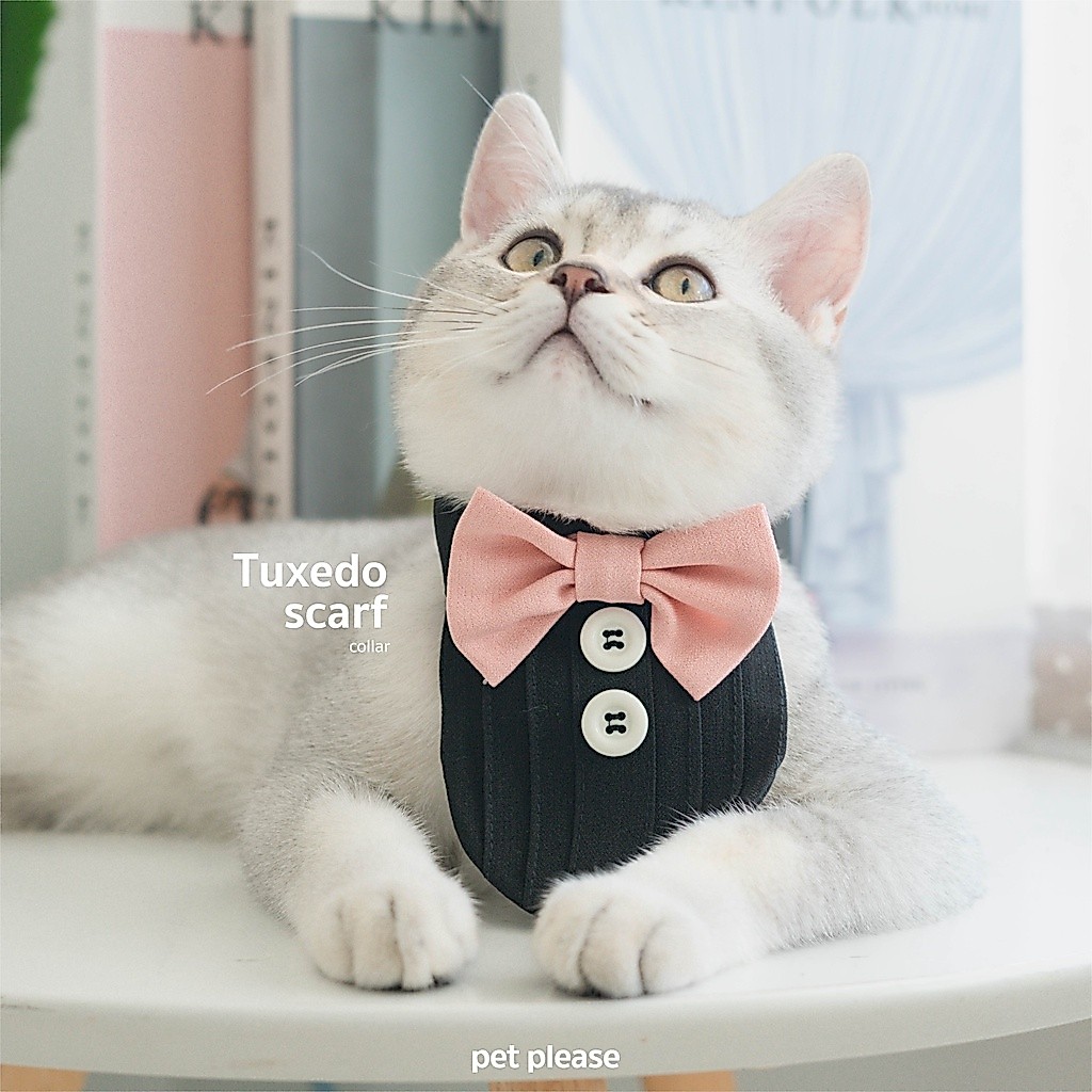 Tuxedo Scarf ปลอกคอทักซิโด้ ปลอกคอสัตว์เลี้ยง l petplease เสื้อแมว ชุดแมว หมา สุนัข