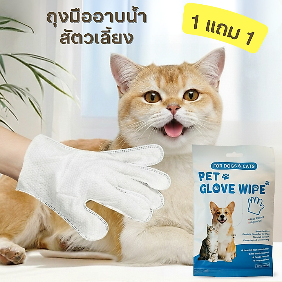 1แถม1 ถุงมืออาบน้ำสัตว์เลี้ยง อาบน้ำแมว อาบน้ำหมา แบบแห้ง ( 1pack/6ชิ้น )