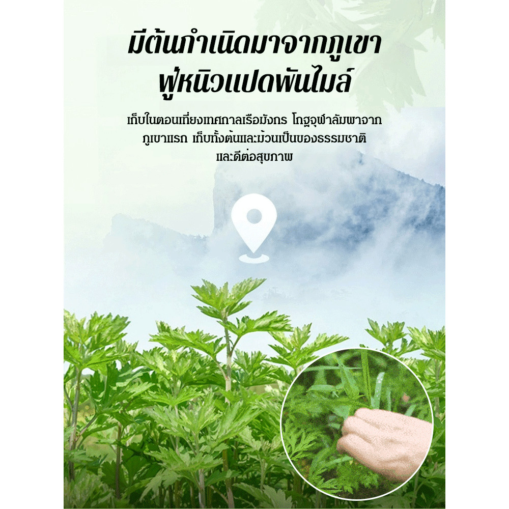 🌿กำจัดยุงในรัศมี 80 เมตร🛡️ธูปกันยุงสมุนไพร ยาจุดไล่ยุงโกฐจุฬาลัมพา อุปกรณ์ป้องกันแมลงในบ้าน เผาไหม้8ชม. กันยุงธรรมชาติ เหมาะใช้ในบ้าน-สวน ปลอดภัยแม่และเด็ก - รูปที่ 4