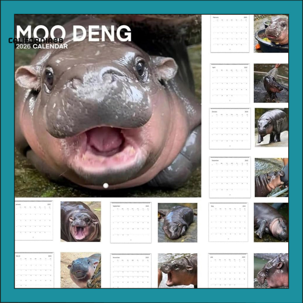 [CF] ปฏิทินคนรักสัตว์ น่ารัก Pygmy Hippo Wall Calendar 2026 Pygmy Hippo Wall Calendar Planner รายเดื